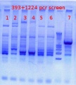 Thumbnail for version as of 14:09, 10 August 2012