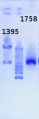 Thumbnail for version as of 11:13, 20 June 2013