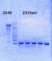 Thumbnail for version as of 13:04, 19 September 2014