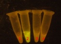 Thumbnail for version as of 11:15, 13 November 2013