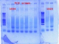 Thumbnail for version as of 11:13, 2 April 2012