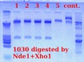Thumbnail for version as of 16:19, 3 April 2012