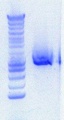 Thumbnail for version as of 15:24, 11 July 2012