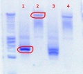 Thumbnail for version as of 12:21, 26 July 2012