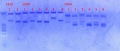 Thumbnail for version as of 14:17, 16 November 2012