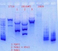 Thumbnail for version as of 19:40, 11 August 2013