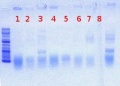 Thumbnail for version as of 10:43, 7 June 2012