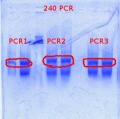 Thumbnail for version as of 15:13, 11 October 2012