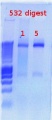 Thumbnail for version as of 14:27, 6 February 2012