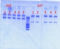 Thumbnail for version as of 09:08, 19 March 2013