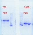 Thumbnail for version as of 11:49, 21 October 2013