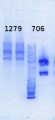 Thumbnail for version as of 16:06, 25 October 2013