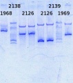 Thumbnail for version as of 15:16, 5 April 2014