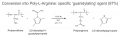 Thumbnail for version as of 17:09, 30 July 2014