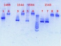 Thumbnail for version as of 14:13, 15 January 2013