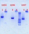 Thumbnail for version as of 12:46, 21 March 2013