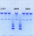 Thumbnail for version as of 11:44, 20 August 2013