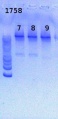 Thumbnail for version as of 11:14, 20 June 2013