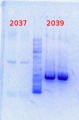 Thumbnail for version as of 12:12, 28 January 2014