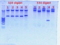 Thumbnail for version as of 14:16, 17 January 2012