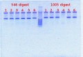 Thumbnail for version as of 15:49, 17 February 2012