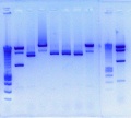 Thumbnail for version as of 15:14, 25 October 2010