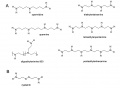 Thumbnail for version as of 16:14, 13 June 2014