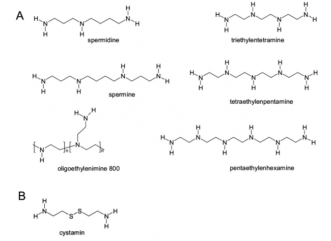 Polyamine structure.jpg