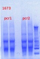 Thumbnail for version as of 12:35, 6 March 2013