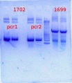 Thumbnail for version as of 15:00, 20 March 2013