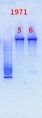 Thumbnail for version as of 11:17, 13 December 2013