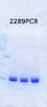 Thumbnail for version as of 17:20, 28 July 2014