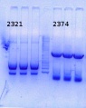 Thumbnail for version as of 16:59, 21 November 2014