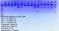 Thumbnail for version as of 16:41, 20 April 2018