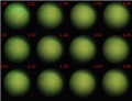 Thumbnail for version as of 12:30, 7 December 2011