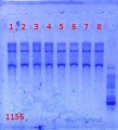 Thumbnail for version as of 15:20, 16 July 2012
