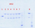 Thumbnail for version as of 13:54, 11 September 2013