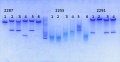 Thumbnail for version as of 12:27, 5 August 2014