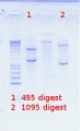 Thumbnail for version as of 14:18, 19 April 2012