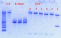 Thumbnail for version as of 14:59, 27 December 2012